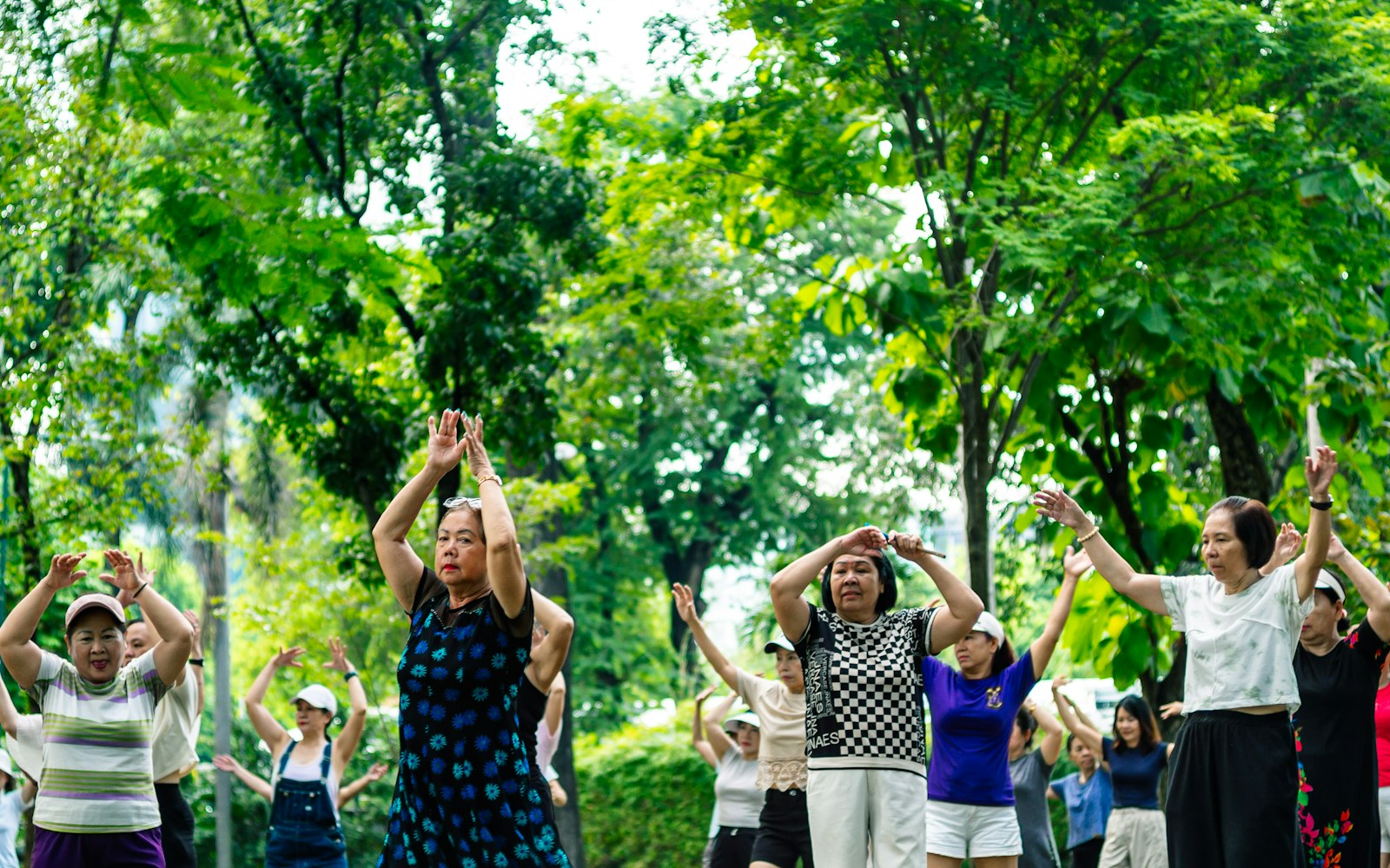 A group of seniors exercising together outdoors in a park
